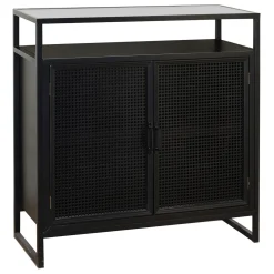 * 32X34 Blk Mtl 2Dr Display Cab Featured